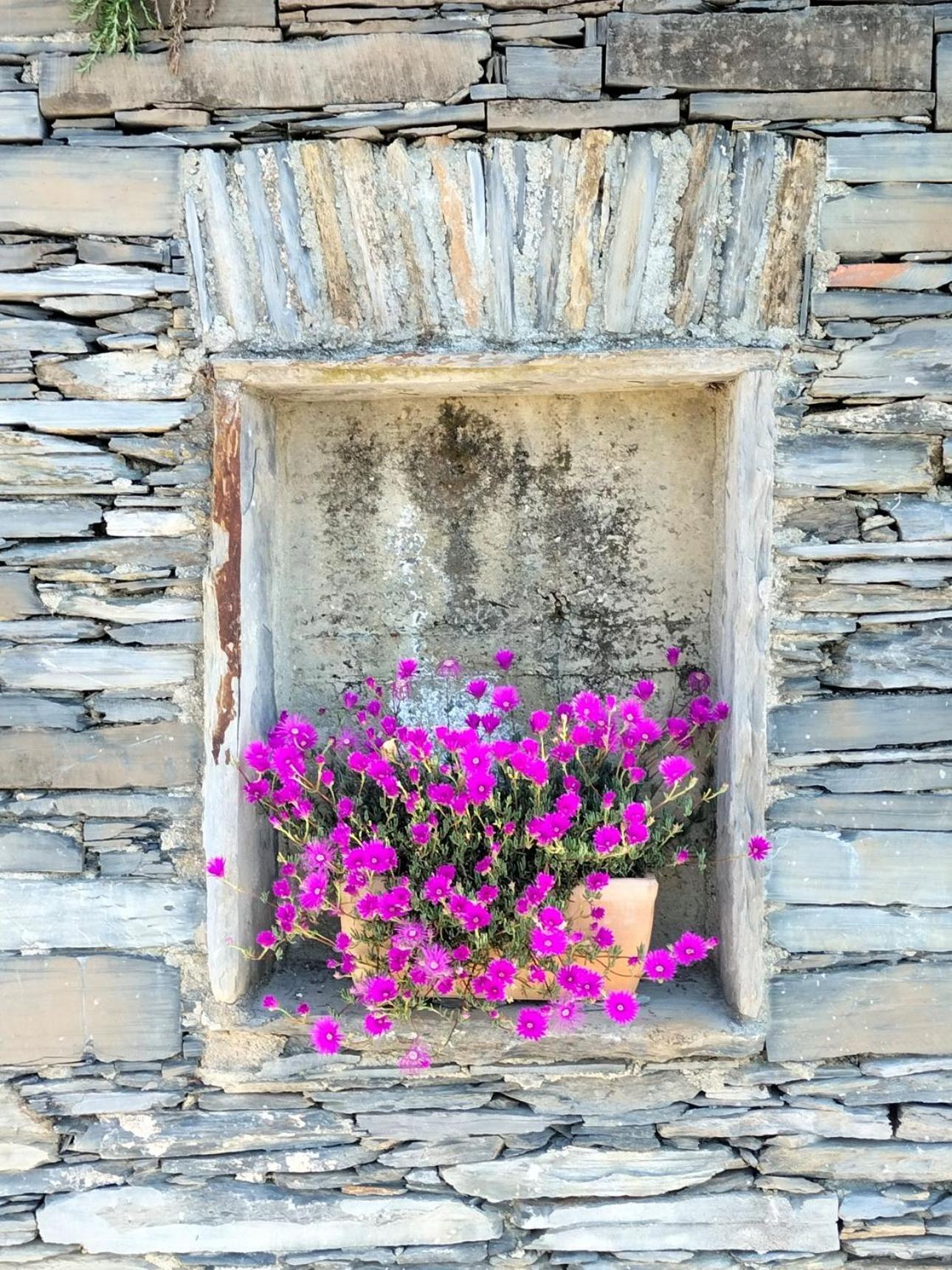 Guest house Ca' Da Tollo Cogorno